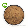 Factory Supply Ginkgo Biloba Leaf Extract Powder